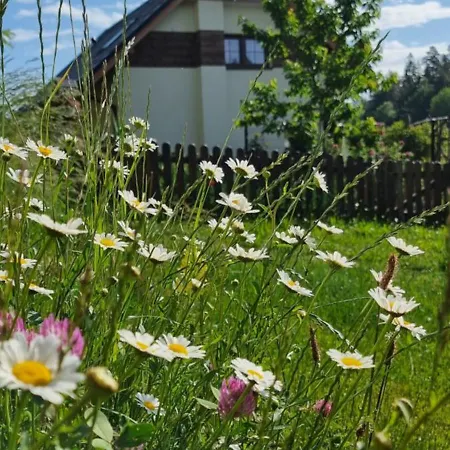 Noclegi U Babci Gieni Cisiec Esterno foto