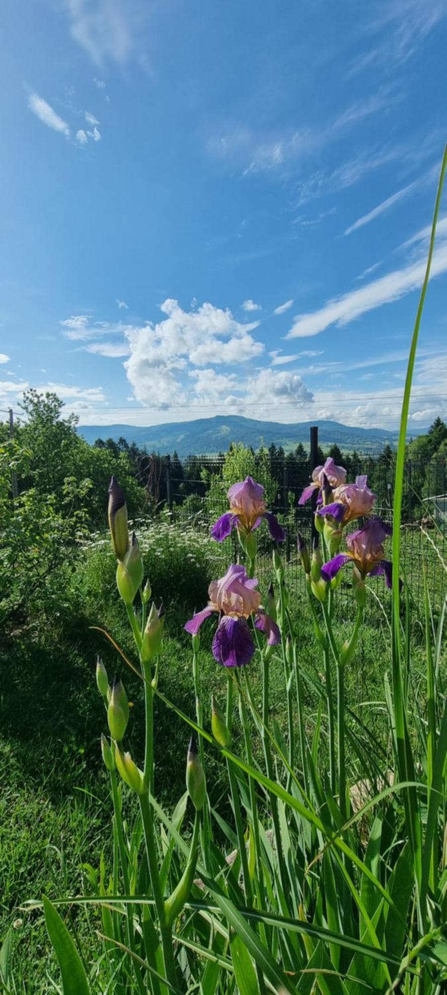 U Babci Gieni Holiday home Cisiec